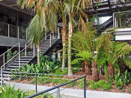 Palm trees and tropical plant within a building